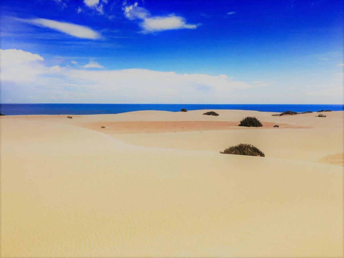 Corralejo Sun 202 Apartman Kültér fotó